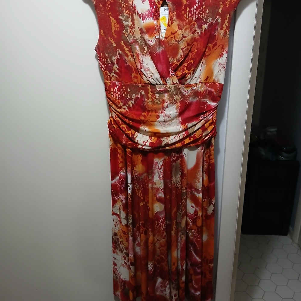 NWT dress